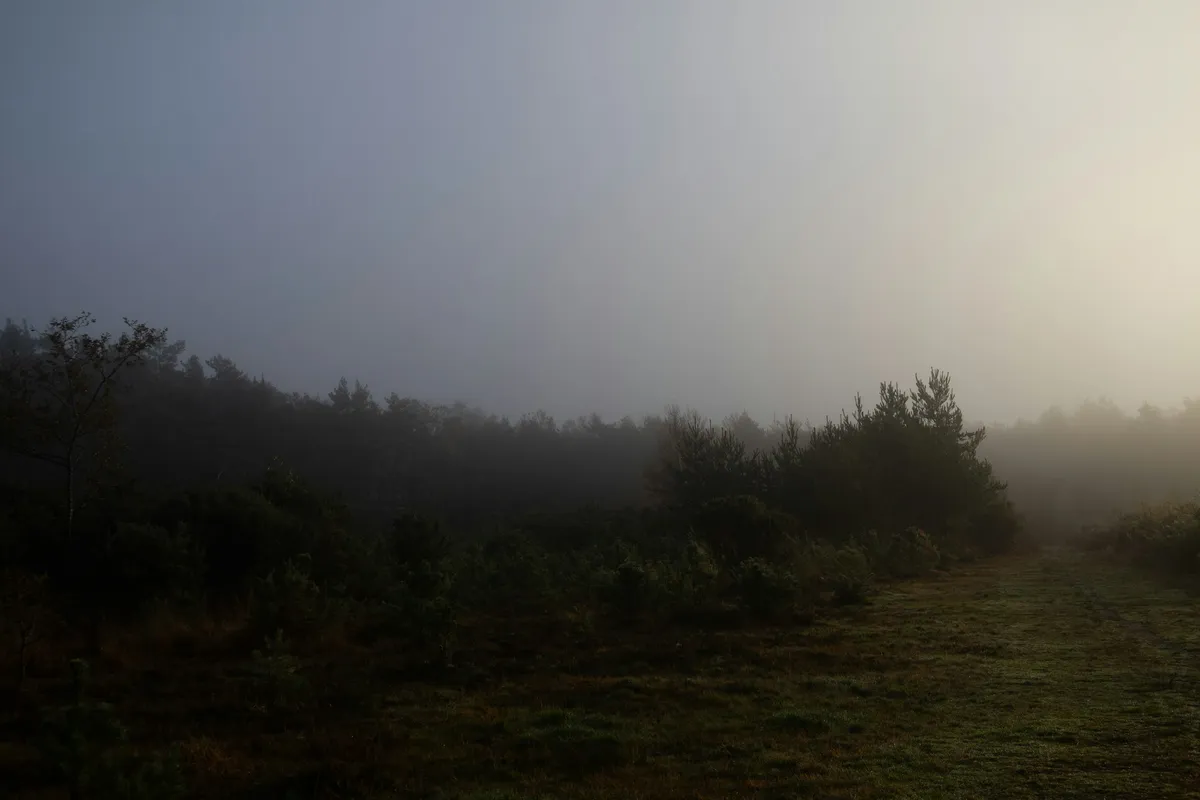 Sentier à l'aube, symbole d'une exécution régulière et maîtrisée